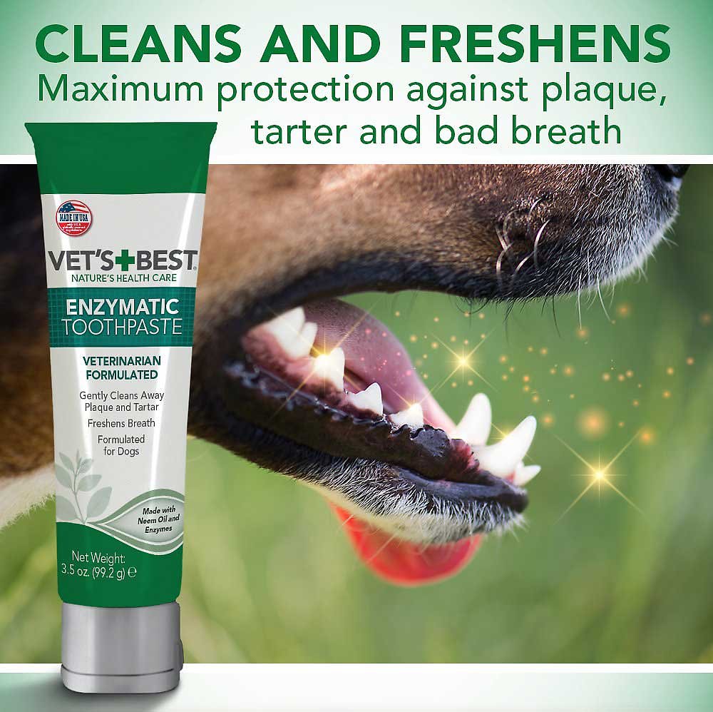 Vets-Best-Enzymatic-Dog-Toothpaste-Teeth-Cleaning-and-Fresh-Breath-Dental-Care.jpg
